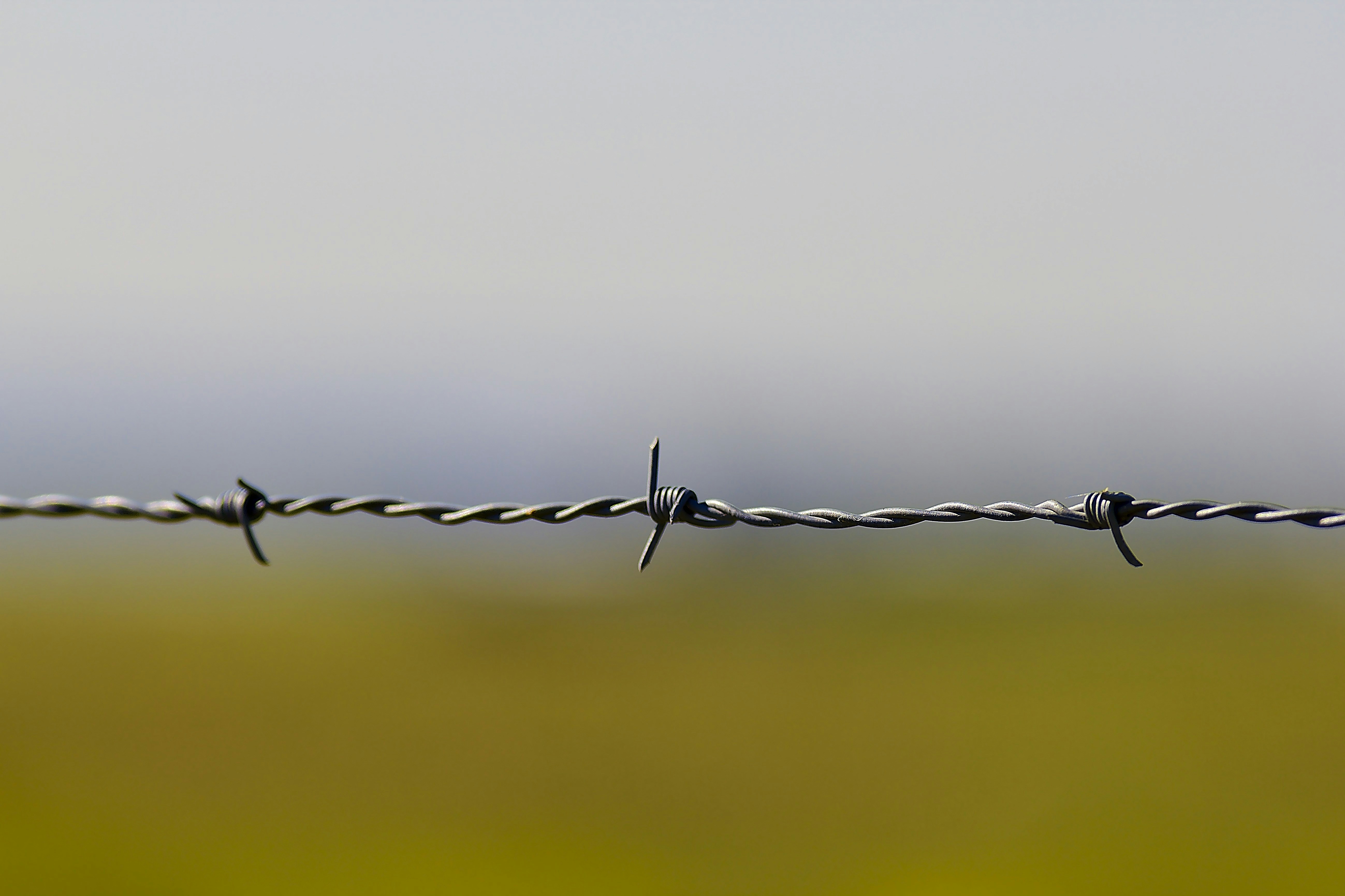Promised a wildlife-friendly fence, Blackford Solar built a security fence